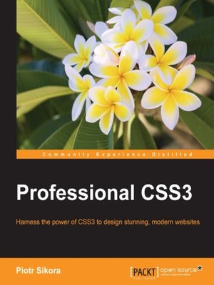 cover image of Professional CSS3